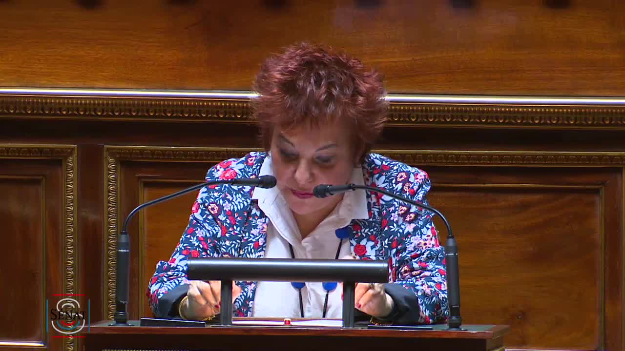 Séance publique du 22 mai 2019 (après-midi)