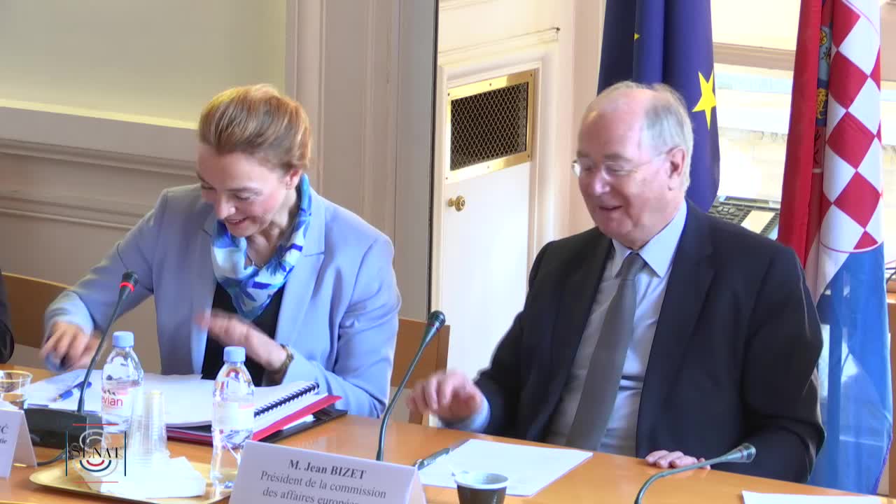 Affaires européennes: Audition de Mme Marija Pejčinović-Burić, vice-première ministre de la République de Croatie, ministre des Affaires étrangères et européennes.