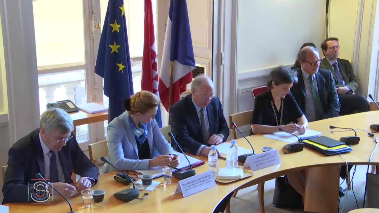 Affaires européennes: Audition de Mme Marija Pejčinović-Burić, vice-première ministre de la République de Croatie, ministre des Affaires étrangères et européennes.