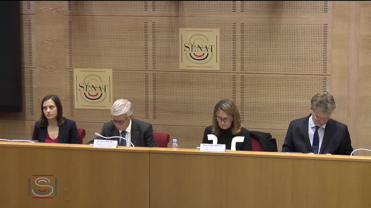 Audition plénière - Transports routiers - Scénarios technologiques permettant d’atteindre l’objectif d’un arrêt de la commercialisation des véhicules thermiques en 2040