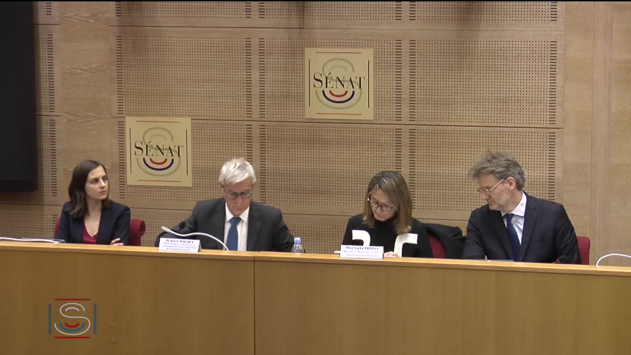 Audition plénière - Transports routiers - Scénarios technologiques permettant d’atteindre l’objectif d’un arrêt de la commercialisation des véhicules thermiques en 2040