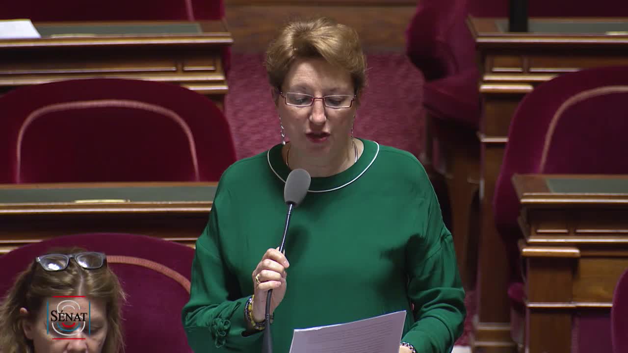 Séance publique du 27 mai 2019 (soir)