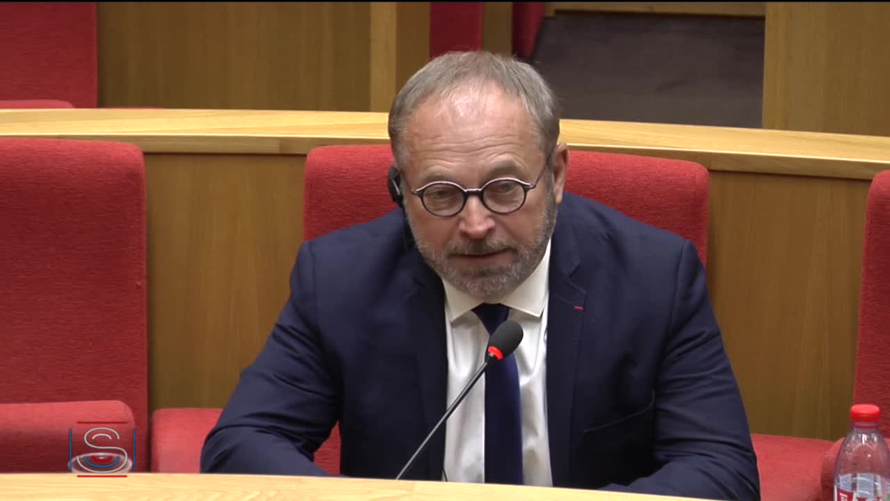 Audition de M. Lorent Saleh, prix Sakharov, sur la situation au Vénézuela