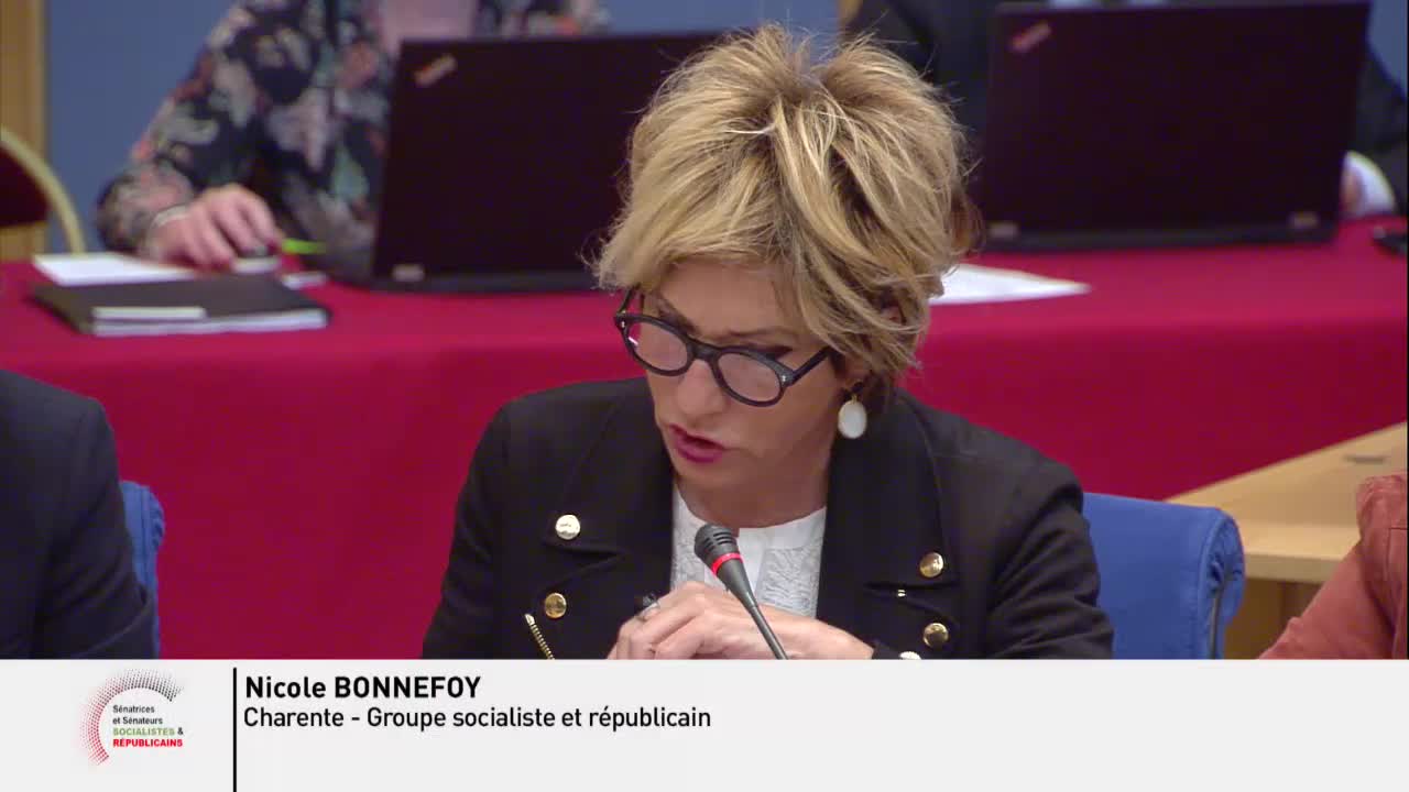 Audition plénière - Transports routiers - Audition de M. Xavier Huillard, Président-directeur général du groupe VINCI