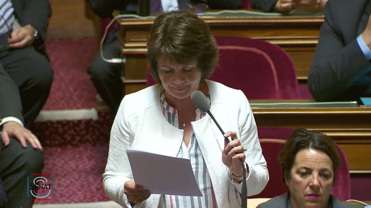 Séance publique du 28 mai 2019 (après-midi)