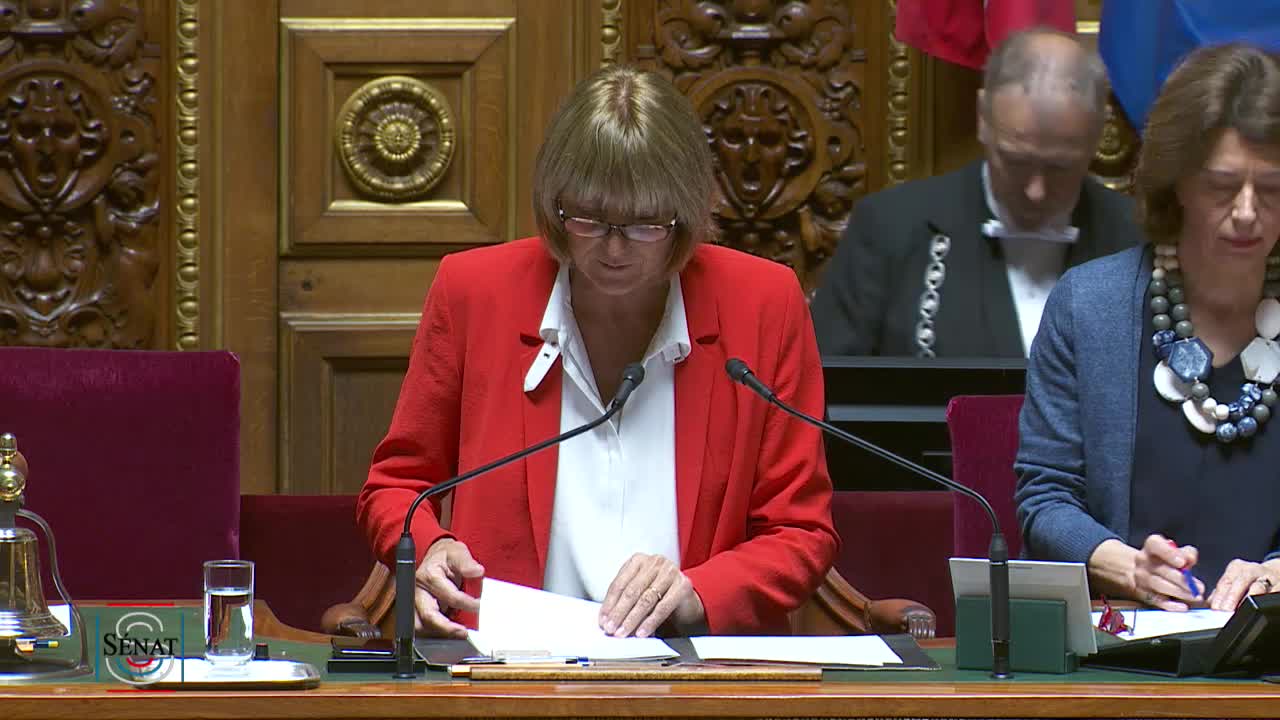 Séance publique du 28 mai 2019 (après-midi)