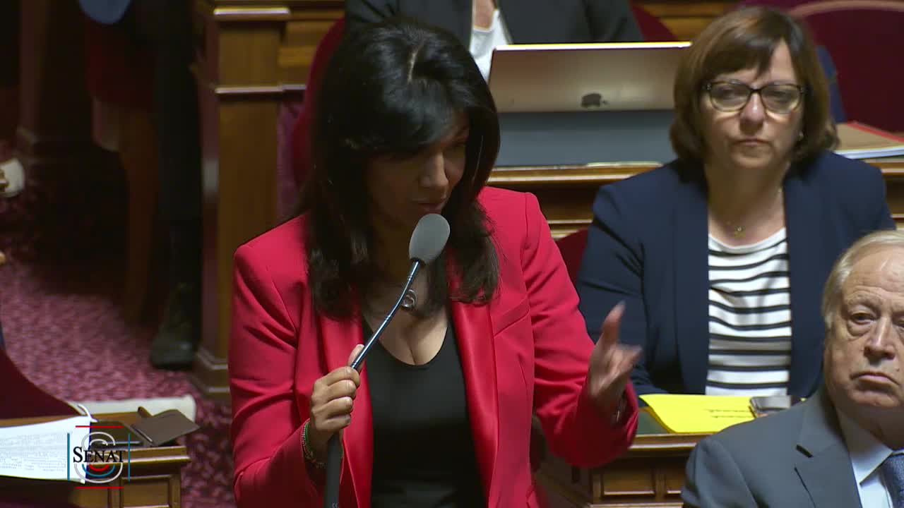 Séance publique du 28 mai 2019 (après-midi)
