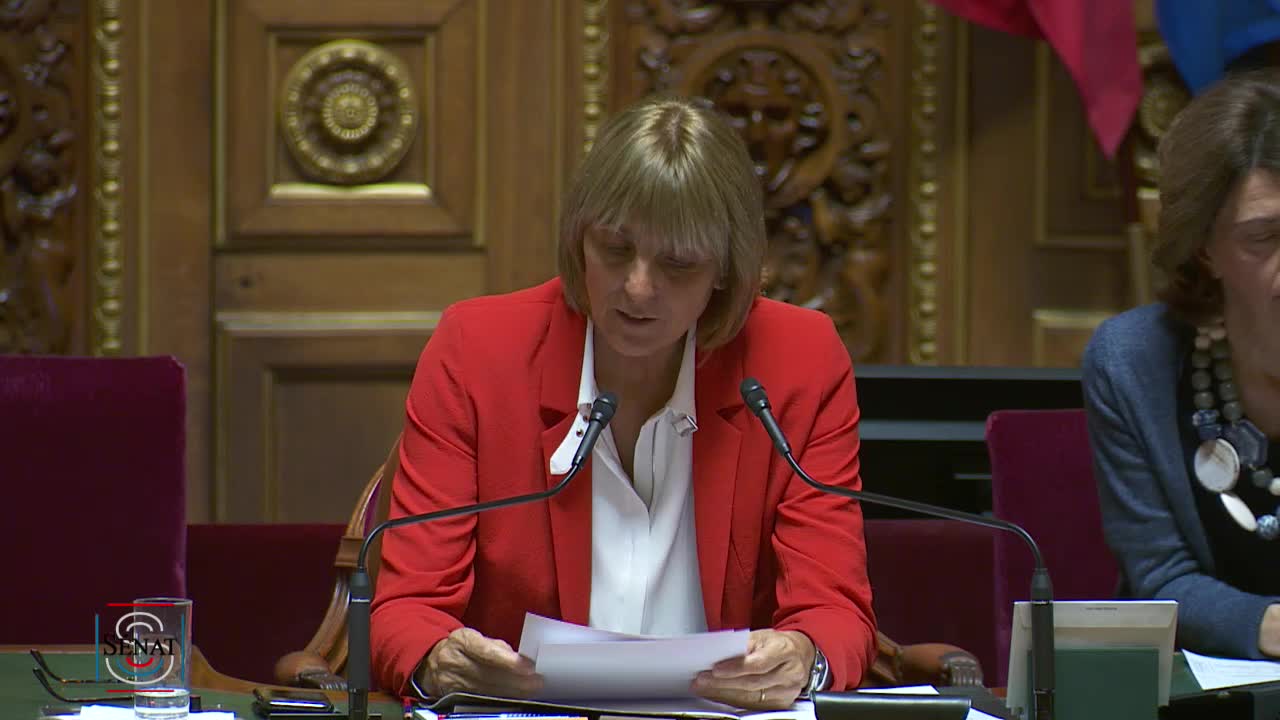 Séance publique du 28 mai 2019 (après-midi)
