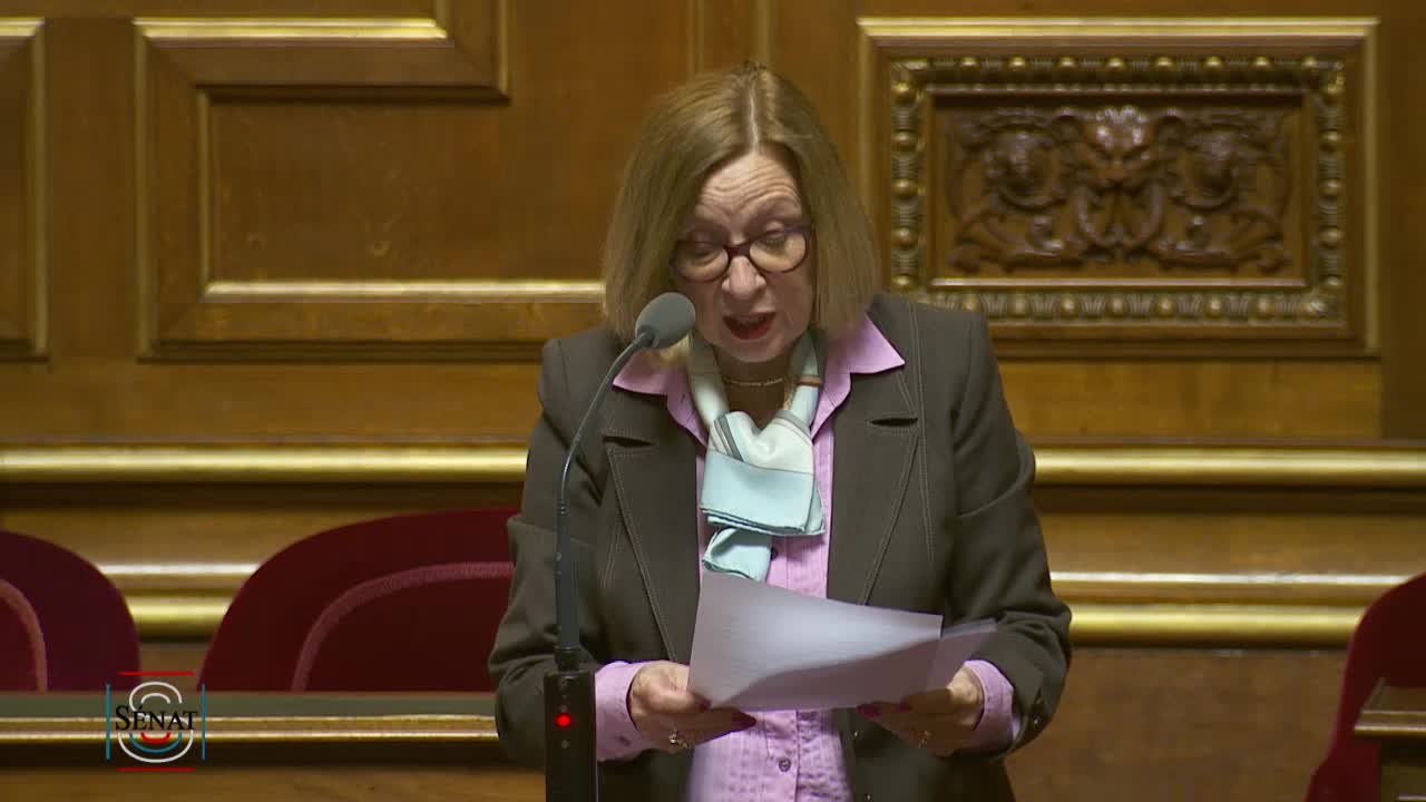 Séance publique du 28 mai 2019 (après-midi)