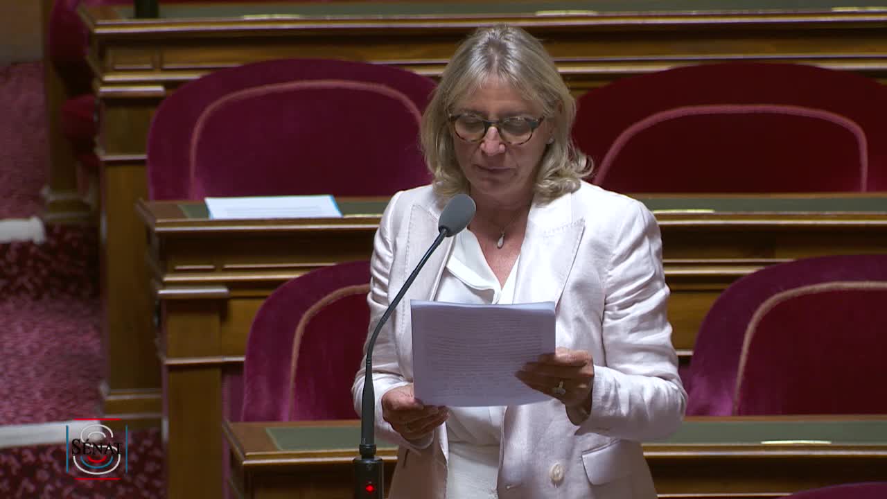 Séance publique du 28 mai 2019 (après-midi)
