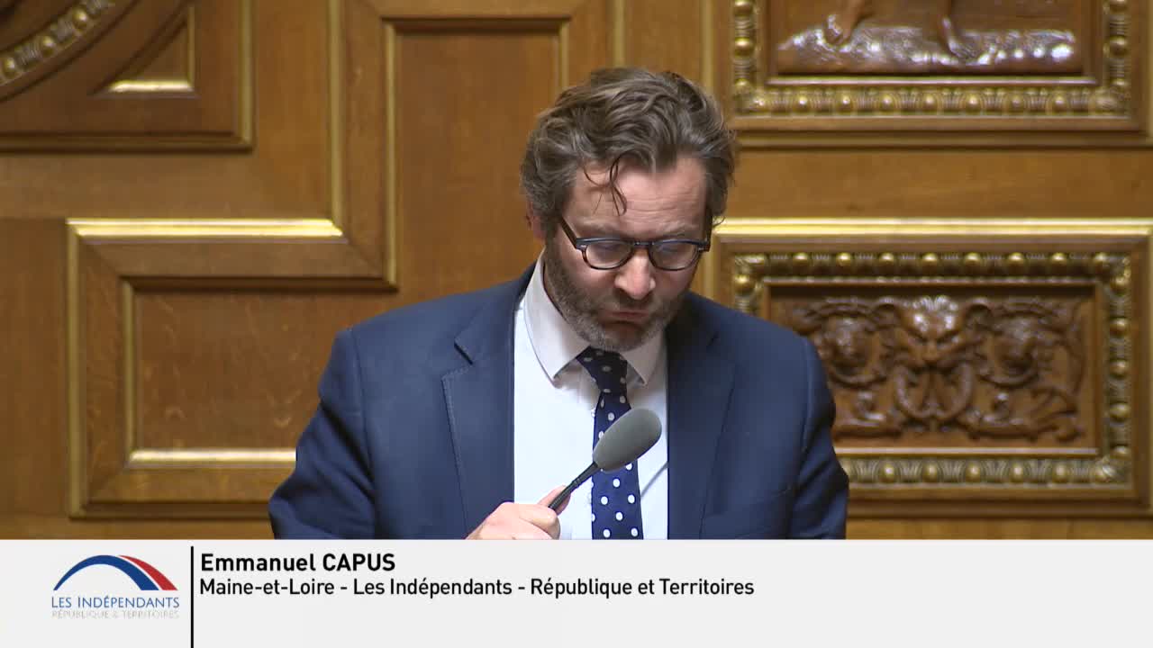 Séance publique du 29 mai 2019 (après-midi)