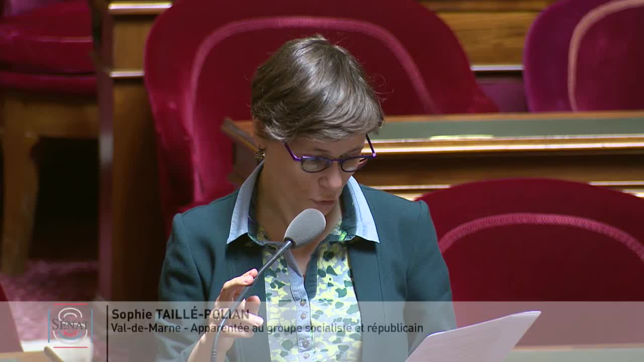 Séance publique du 29 mai 2019 (après-midi)