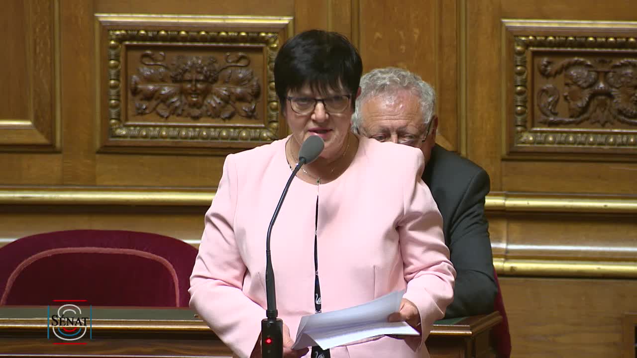 Séance publique du 29 mai 2019 (après-midi)