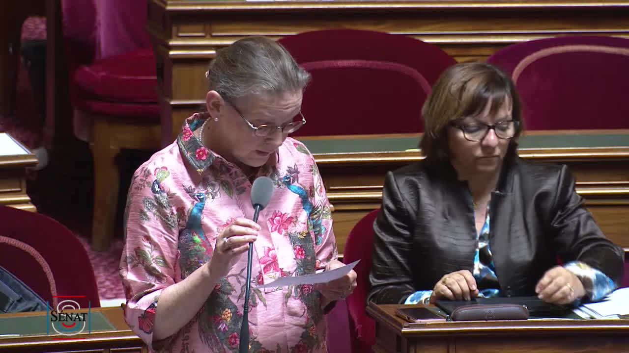 Séance publique du 3 juin 2019 (après-midi)