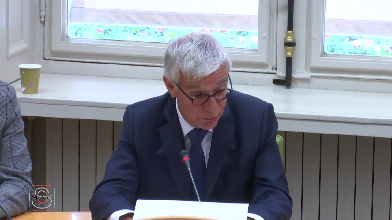 Audition plénière - Aménagement numérique du territoire - Audition de M. Sébastien Soriano, président de l’Autorité de régulation des communications électroniques et des postes (ARCEP)