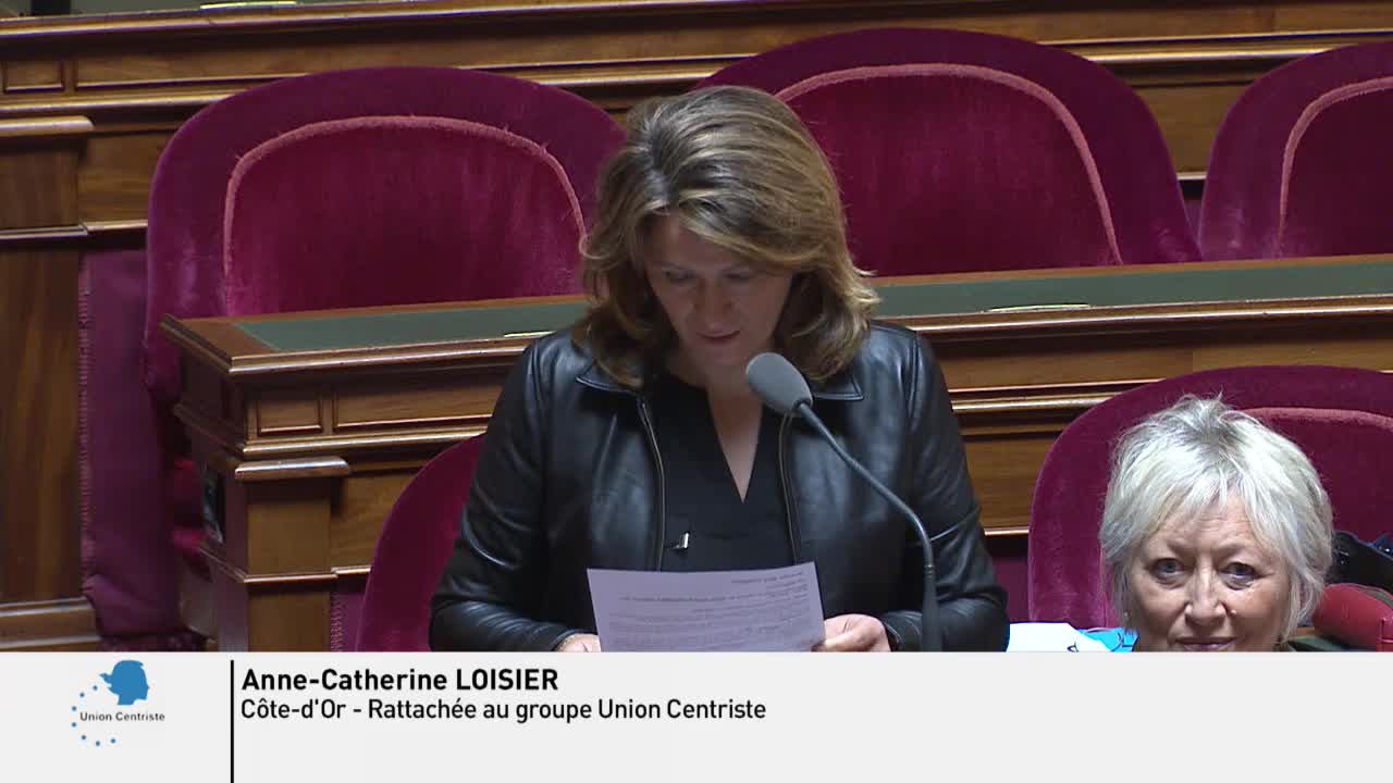 Séance publique du 4 juin 2019 (matin)