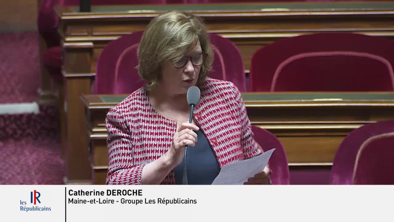 Séance publique du 4 juin 2019 (matin)