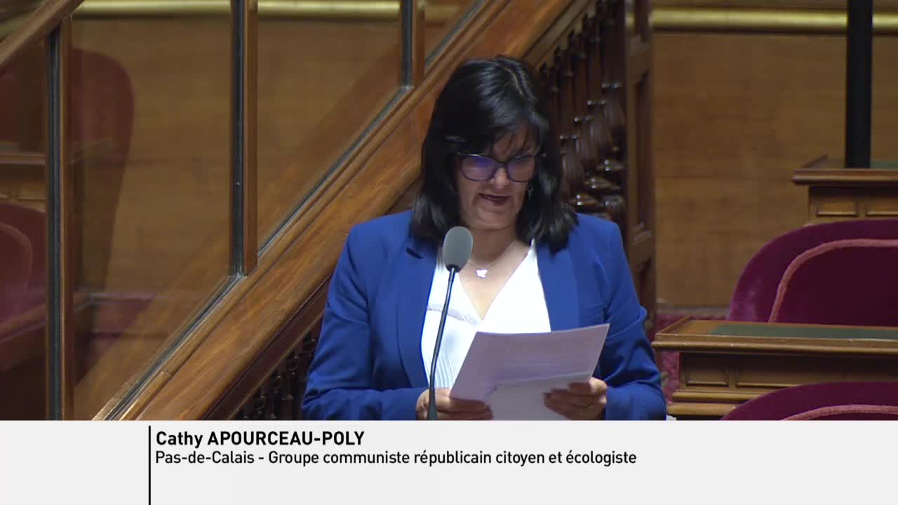 Séance publique du 4 juin 2019 (matin)