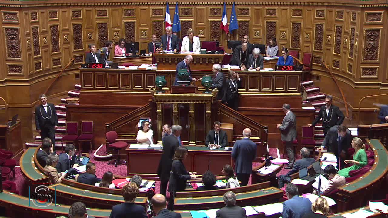 Séance publique du 4 juin 2019 (après-midi)