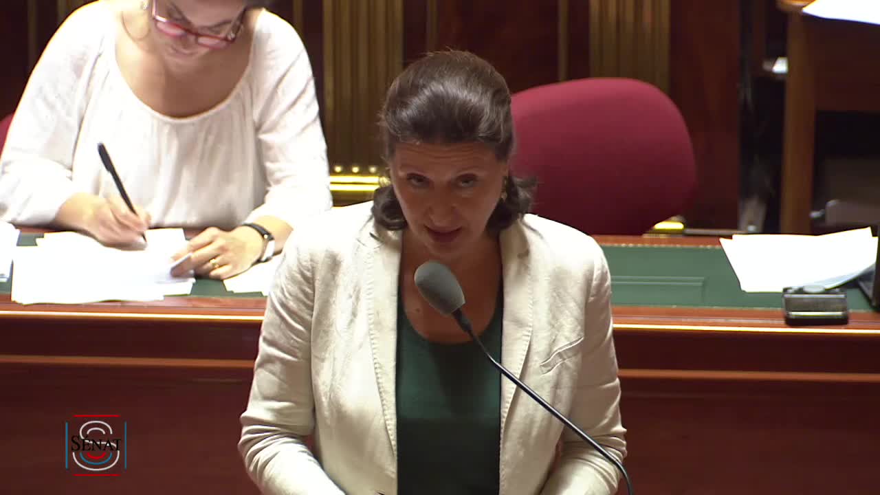 Séance publique du 4 juin 2019 (soir)