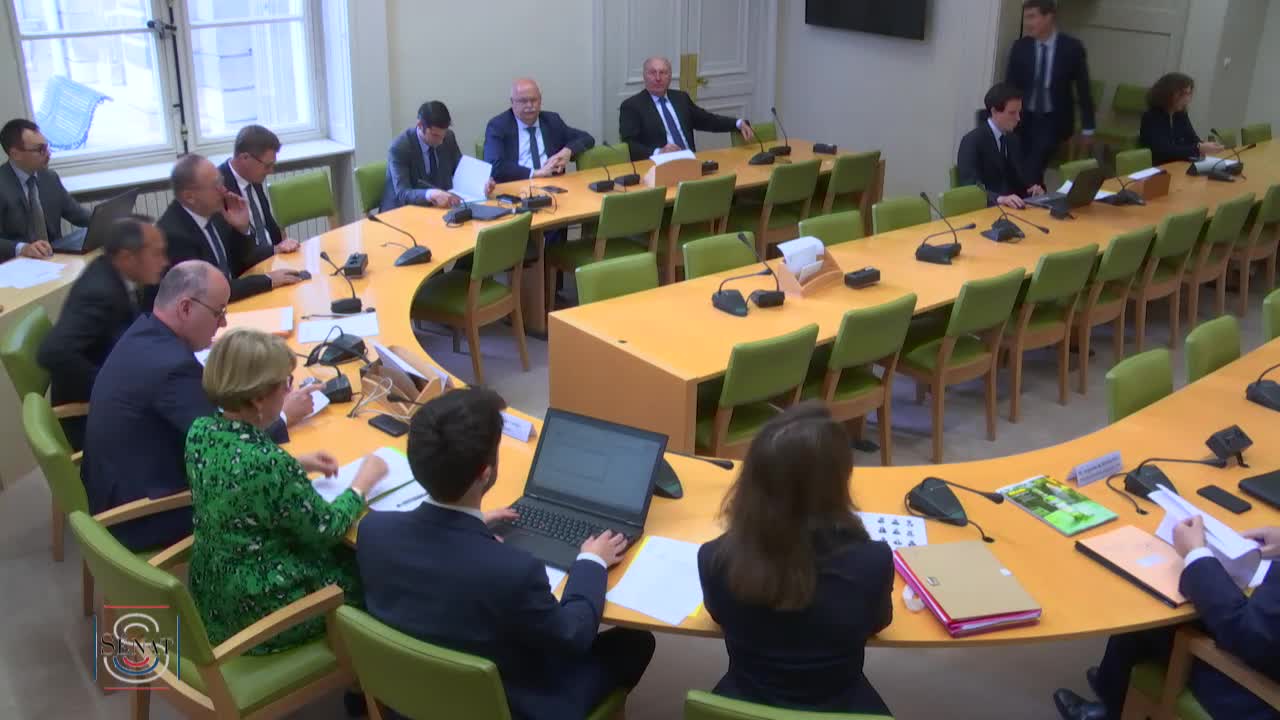 Audition de M. Augustin de Romanet, Président-directeur général du groupe Aéroports de Paris