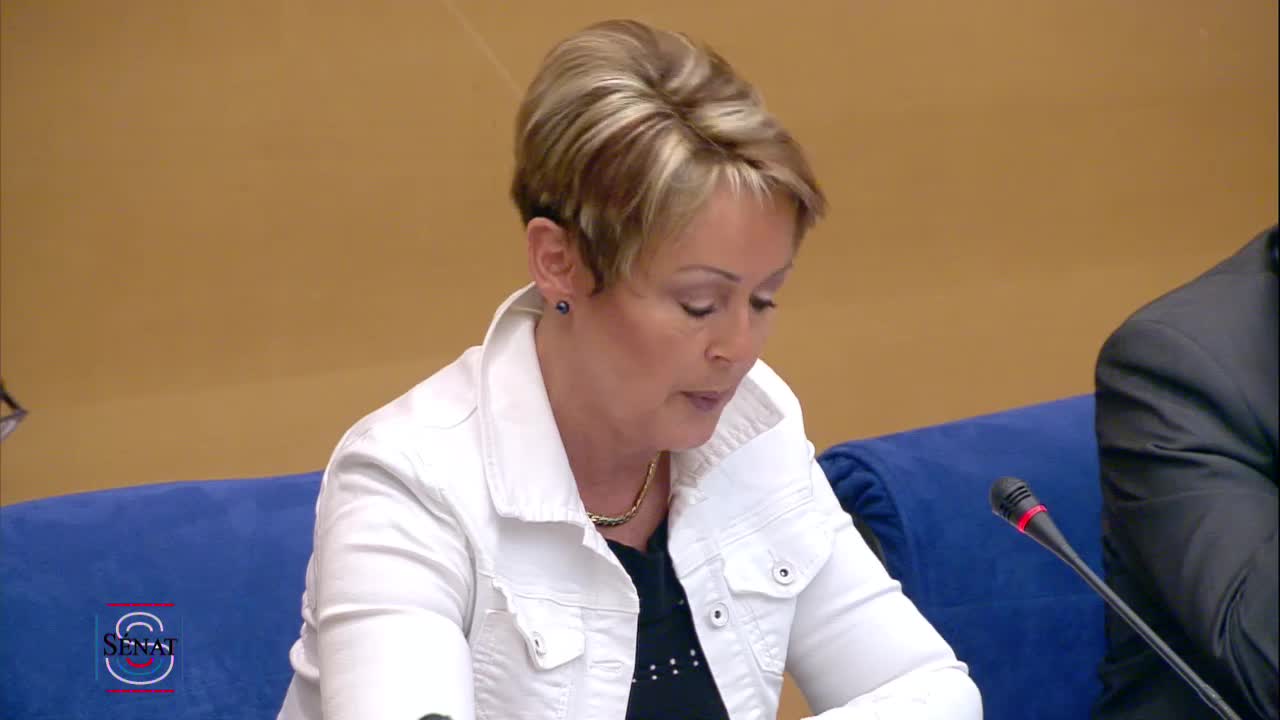 LEC : Examen du rapport du TC sur la PPL.