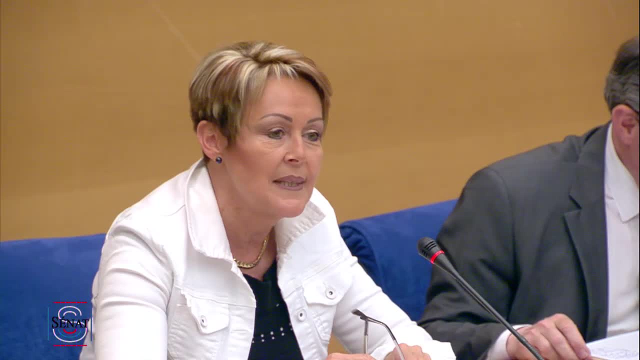 LEC : Examen du rapport du TC sur la PPL.