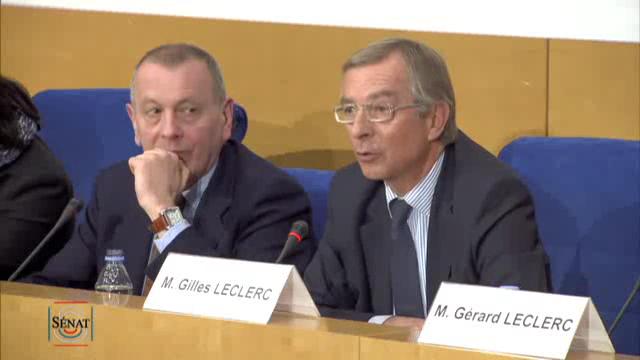 Le bicamérisme à la française: Un enjeu pour la démocratie