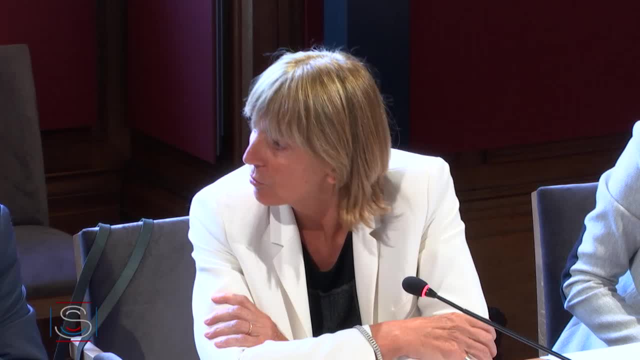 MI enjeux de la filière sidérurgique - Audition de M. Jean ROTTNER, président de la Région Grand Est