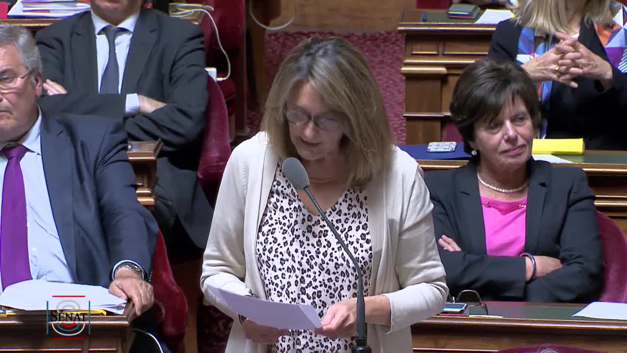 Séance publique du 11 juin 2019 (après-midi)