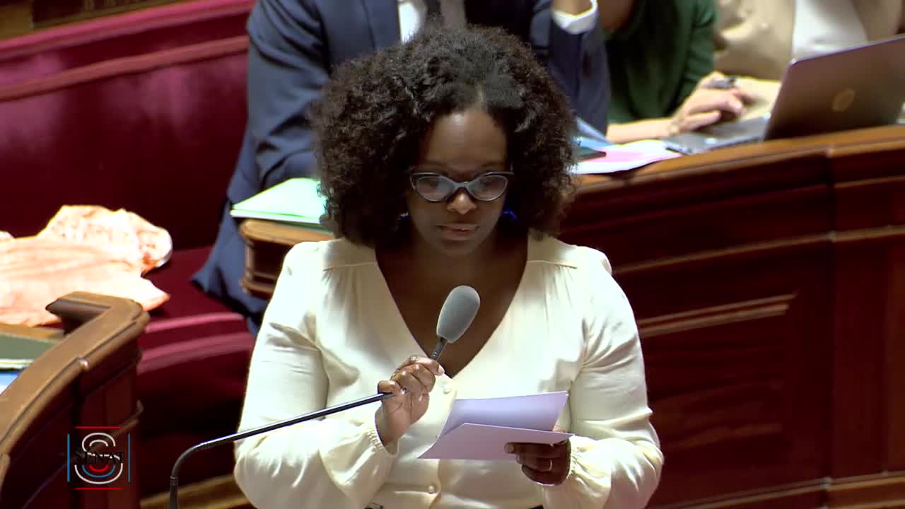 Séance publique du 11 juin 2019 (après-midi)
