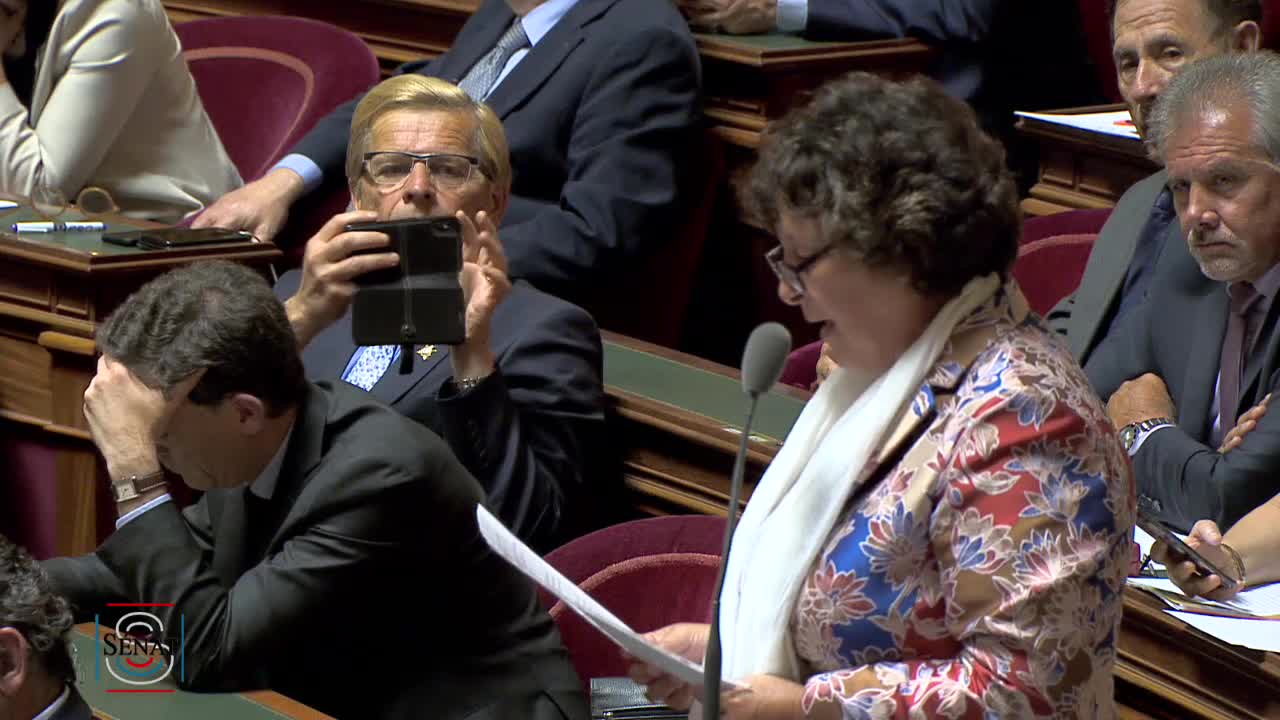 Séance publique du 11 juin 2019 (après-midi)