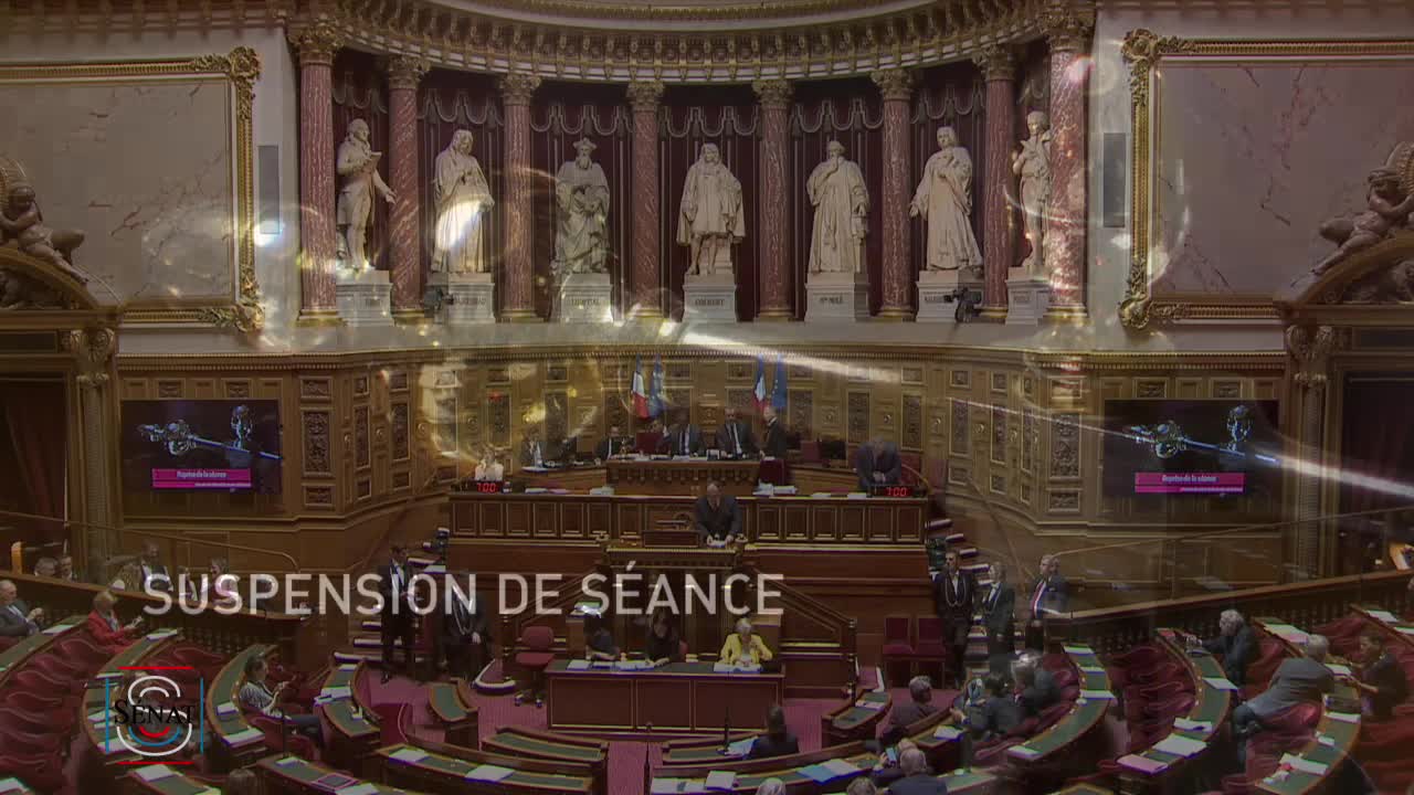 Séance publique du 11 juin 2019 (après-midi)