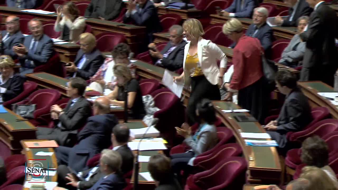 Séance publique du 11 juin 2019 (après-midi)