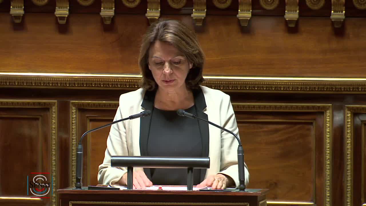 Séance publique du 11 juin 2019 (après-midi)