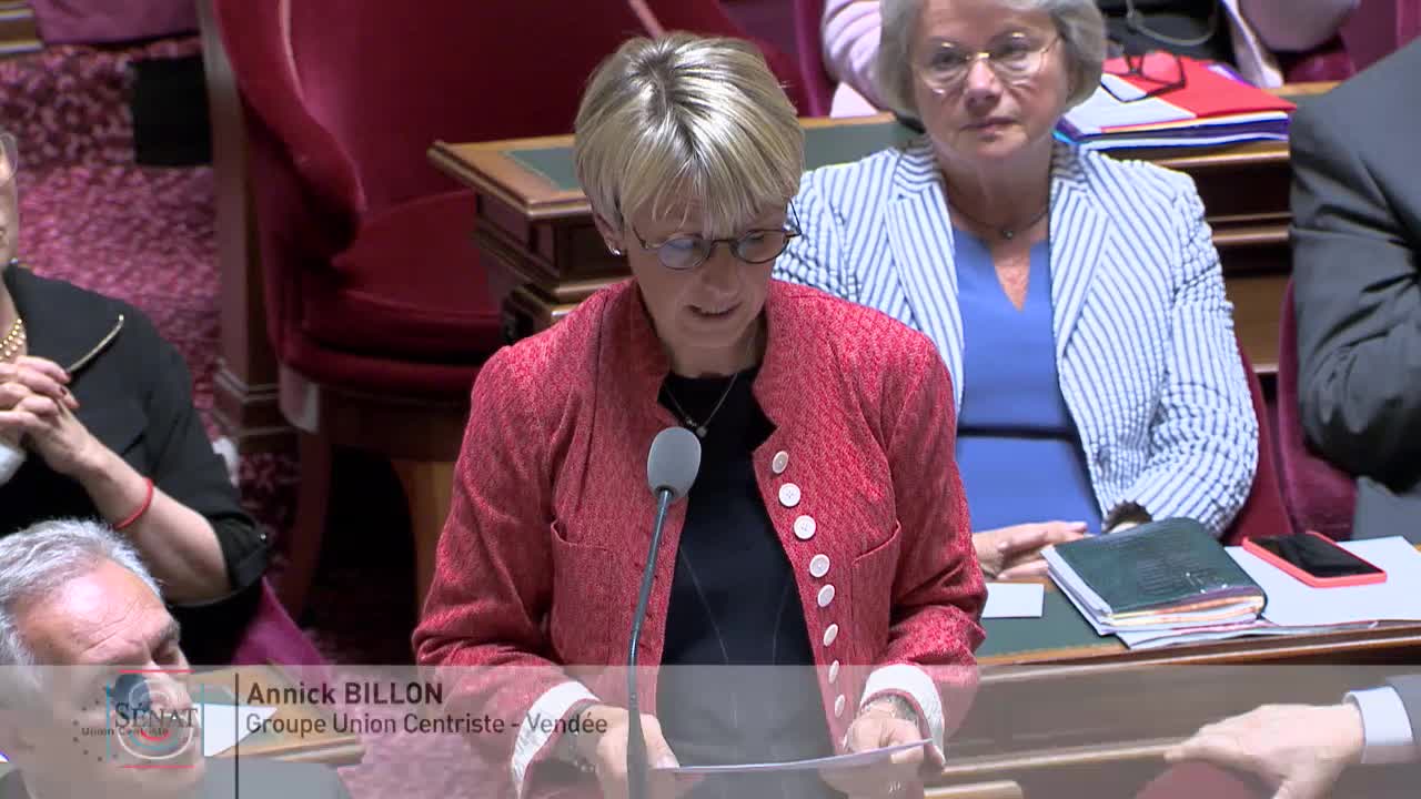 Séance publique du 11 juin 2019 (après-midi)