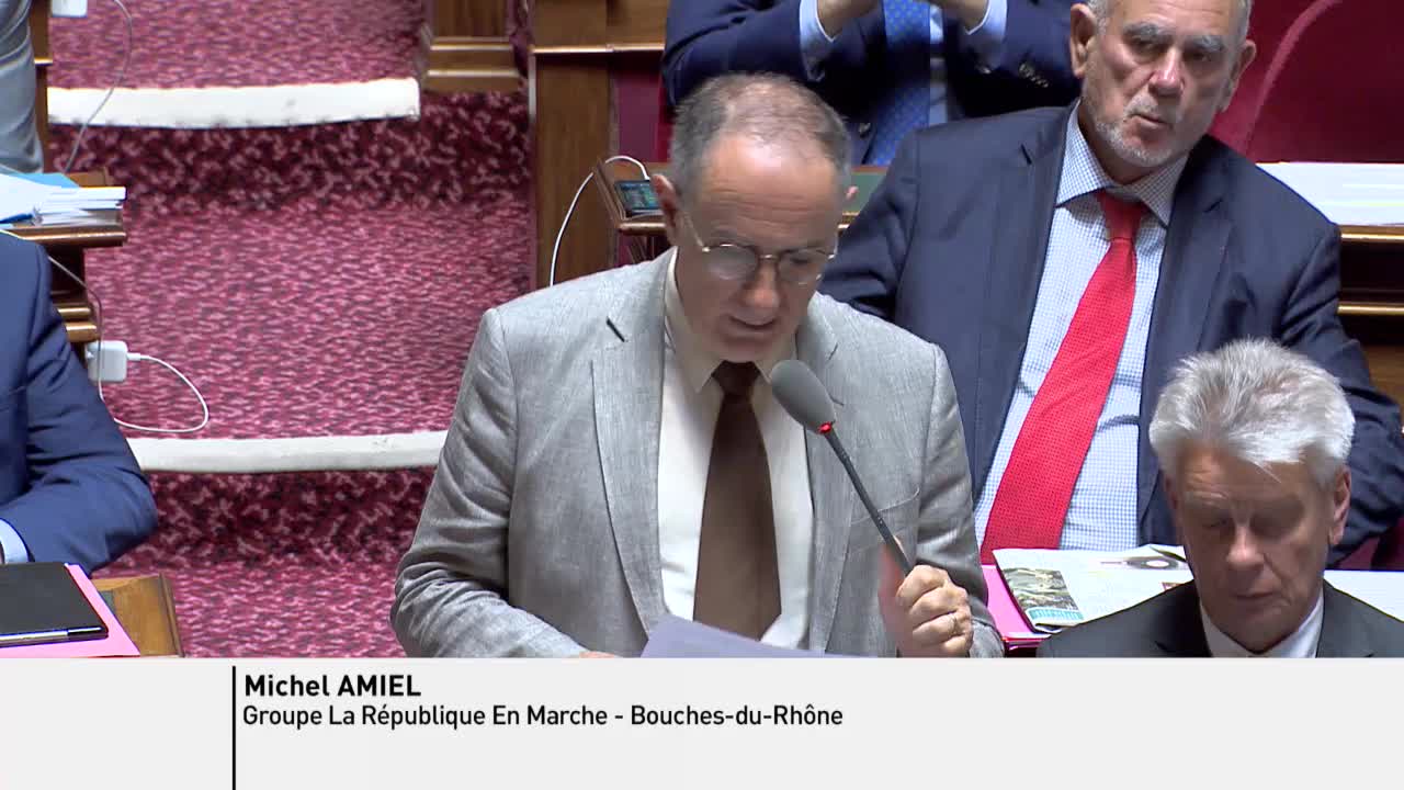 Séance publique du 11 juin 2019 (après-midi)