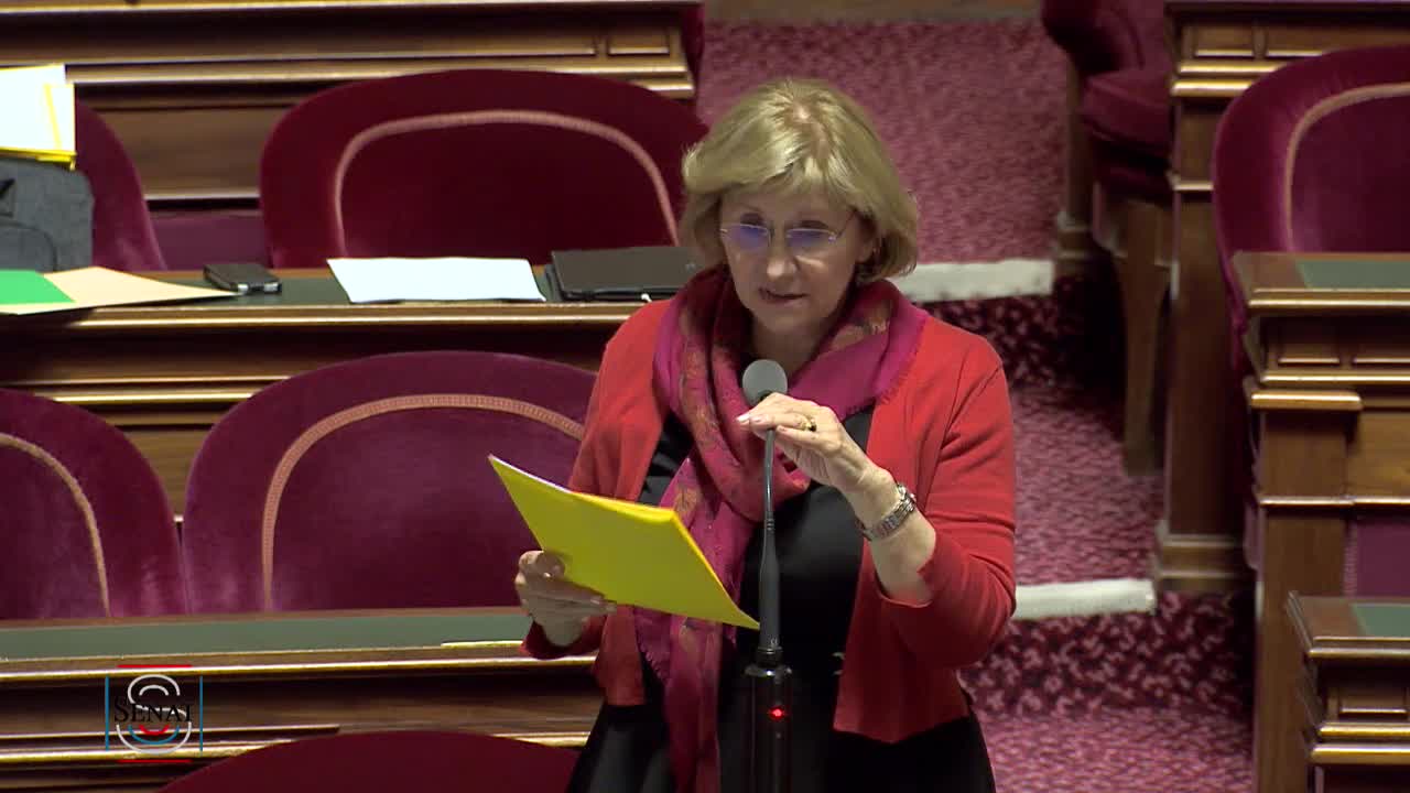 Séance publique du 11 juin 2019 (soir)