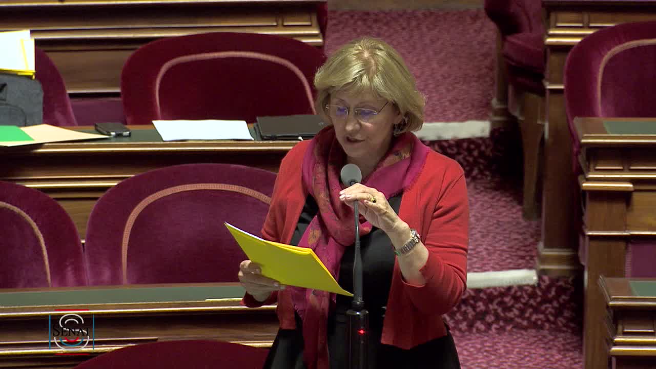 Séance publique du 11 juin 2019 (soir)