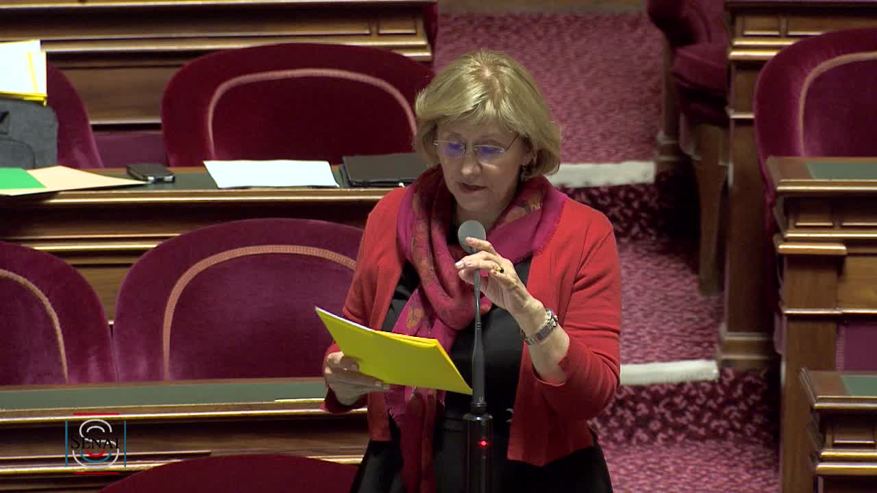 Séance publique du 11 juin 2019 (soir)