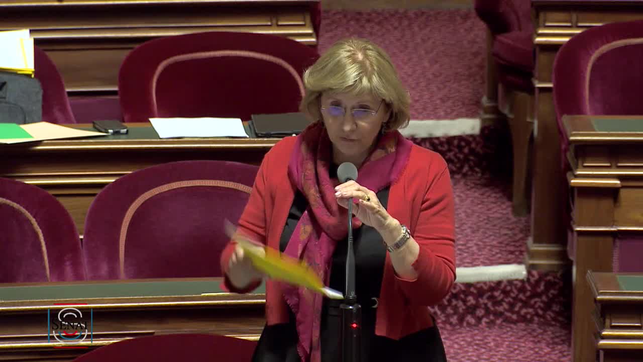 Séance publique du 11 juin 2019 (soir)