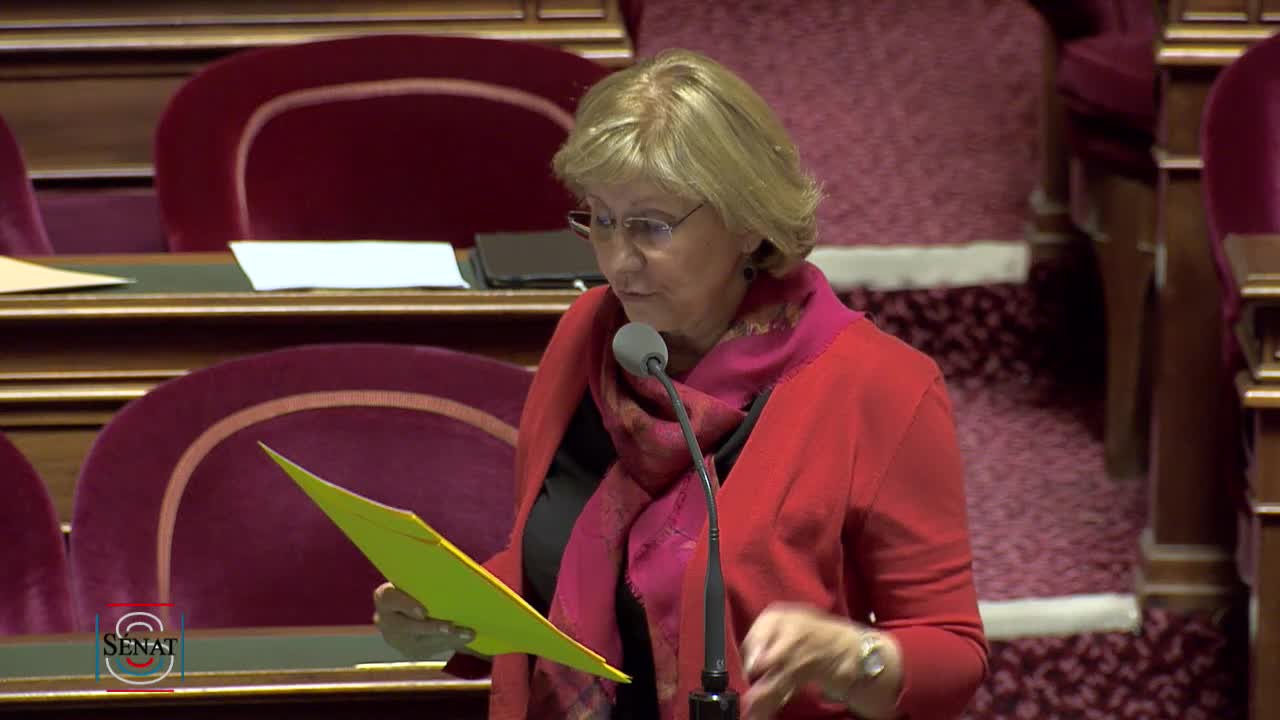 Séance publique du 11 juin 2019 (soir)