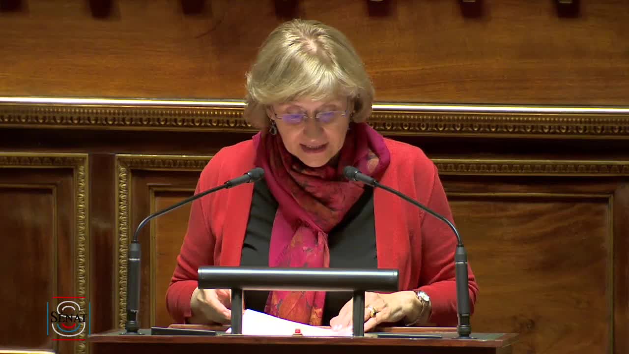 Séance publique du 11 juin 2019 (soir)