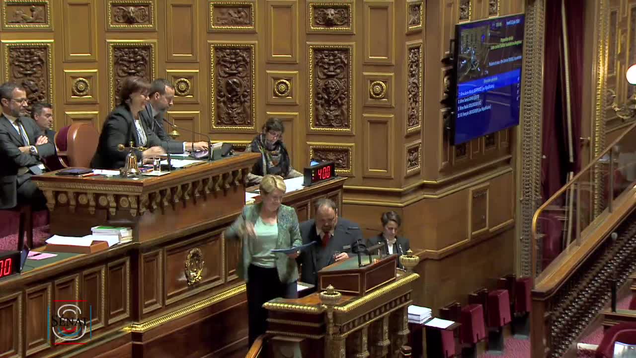 Séance publique du 11 juin 2019 (soir)