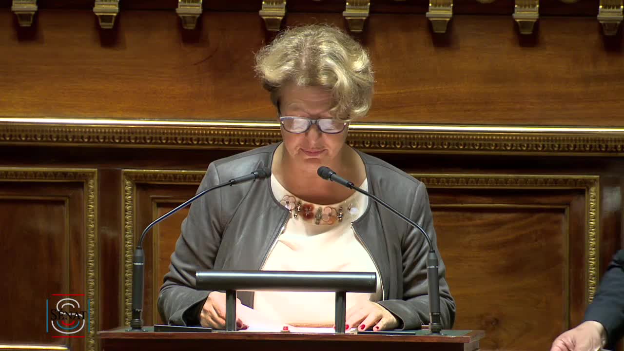 Séance publique du 11 juin 2019 (soir)