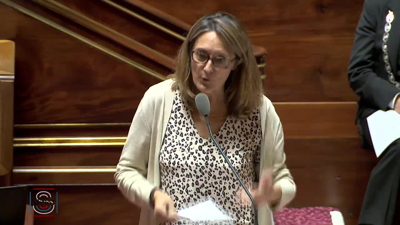 Séance publique du 11 juin 2019 (soir)