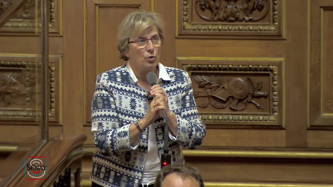 Séance publique du 11 juin 2019 (soir)