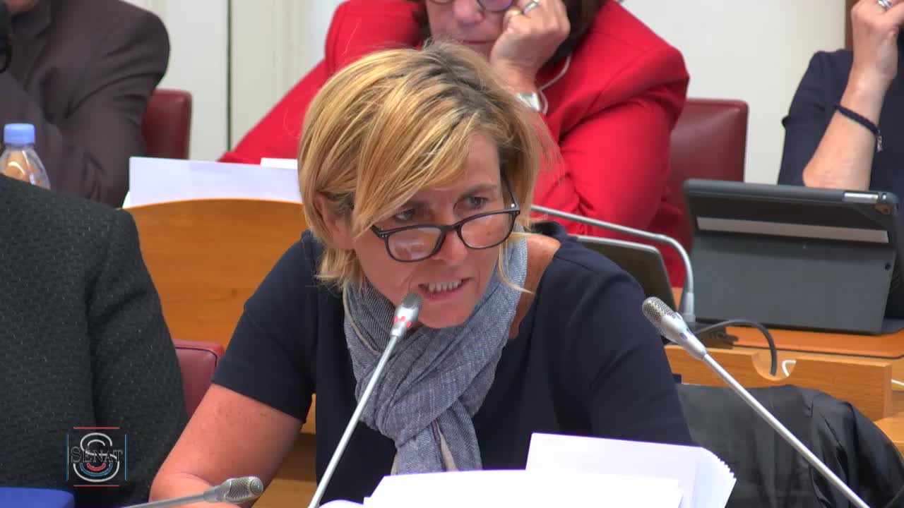 Audition plénière - Application de la loi de financement de la sécurité sociale pour 2018