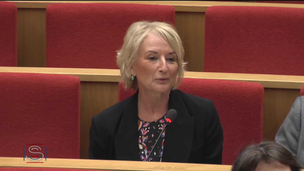 Audition plénière - Audition de Mme Dominique Le Guludec, présidente de la Haute Autorité de Santé
