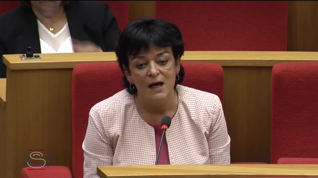 Audition plénière - Audition de Mme Dominique Le Guludec, présidente de la Haute Autorité de Santé